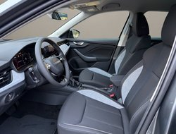 Kamiq Balance ACC AHK Navi Virtual LED