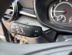 Fabia 1.0 MPI Active AHK LED PDC SHZ Winterp.