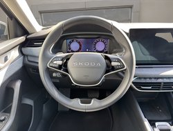 Octavia Combi 2.0 TDI W Selection ACC AHK AUT LM
