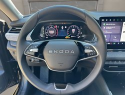 Octavia Combi DSG Tour AHK Navi HUD 360° eHeck