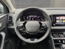 Karoq Tour DSG ACC AHK Navi LED