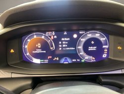 Terramar 1.5 VZ DCC ACC AHK AUT Kam. Navi Pano