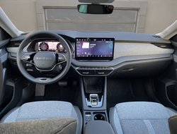 Octavia Combi Tour ACC AHK Navi 360° eHeck Matrix