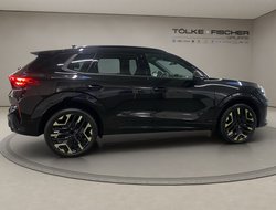 Terramar 1.5 ACC AHK AUT Kam. Sportp. Virtual