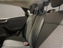 Puma 1.0 EcoBoost Titanium ACC Navi Pano el.Heck
