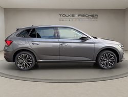 Scala DSG Balance ACC AHK Kamera LED