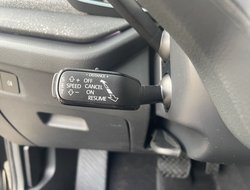 Octavia Combi Tour ACC AHK Navi eHeck