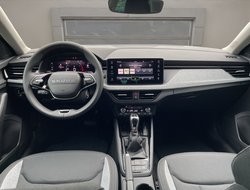 Scala 1.5 TSI Balance ACC AHK Navi Virtual PDC