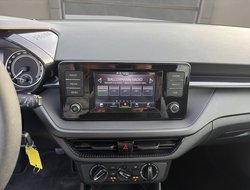 Fabia 1.0 MPI Active LED PDC SHZ Winterp. SpurH