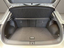 T-Roc 1.0 TSI Goal ACC Kam. Virtual DynLicht LED