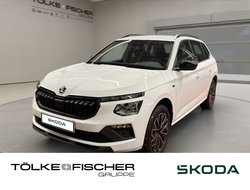 Kamiq Tour ACC AHK Virtual LED LM