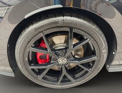Golf VIII 2.0 TSI GTI ACC AUT Kam. Navi Sportp.