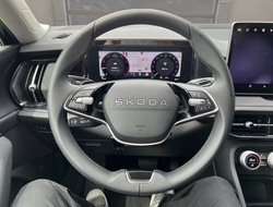 Kodiaq 2.0 TDI DSG 4x4 ACC AHK Navi Matrix eHeck