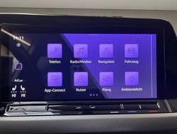 Golf VIII 2.0 TDI Active IQLight ACC AHK AUT HUD